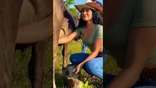 Girl drink cow milk unexpected moment