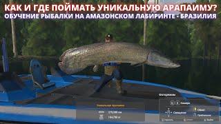 Fishing Planet  КАК И ГДЕ ПОЙМАТЬ УНИКАЛЬНУЮ АРАПАИМУ НА АМАЗОНКЕ? ПОДРОБНЫЙ ГАЙД ПО ЛОВЛЕ АРАПАИМ