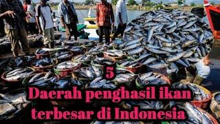 INILAH DAERAH YANG HASIL LAUT NYA SANGAT MELIMPAH II LAUT INDONESIA ‼️