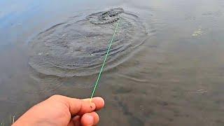 EXCELENTE pesca con linea de mano atrape el GRANDE