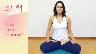 YogaFAQ#11 Как сесть в Позу Лотоса?