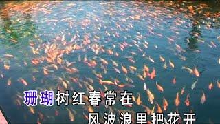 珊瑚颂 - 刘紫玲 Praising Coral - Liu Ziling