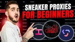 Sneaker Botting for Beginners Proxies Explained 2023