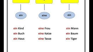 شرح أدوات التنكير في اللغة الألمانية مهم للمستوى A1 الدرس12