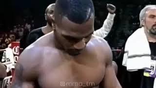 Tayson chempionЧемпион Тайсон