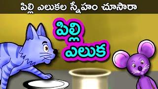 పిల్లి ఎలుక Pilli Eluka - Telugu Stories for Kids  Panchatantra Kathalu  Moral Story for Children