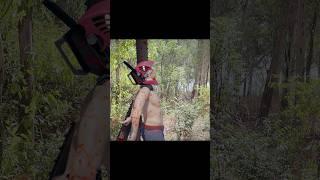 Pochita Chainsaw Man Vs Chucky IT pennywise Freddy Krueger #pochita #chainsawman #3dsingh