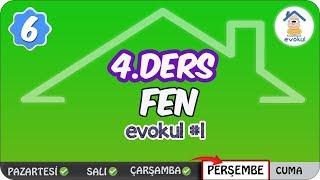 Yakıtlar ve Enerji  6. Sınıf #evokul Kampı