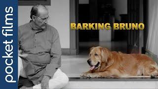 Barking Bruno  A Modern Familys Tale of Transformation  Hindi Touching Short Film