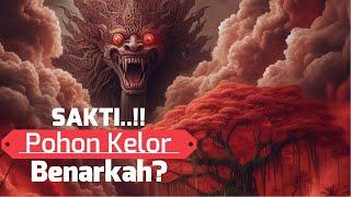 Sakti... Pohon Kelor Usir Setan? Fakta atau Mitos?