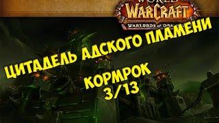 Тактика на Кормрока 313 ЦАП от КристиHFC Kormrok guide