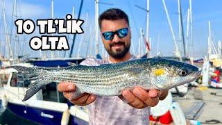 We caught giant mullets in Istanbul with a cheapest fishing line 