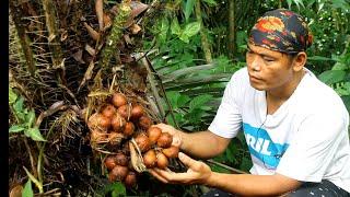 Pepaya mondol masak santan pete kolak salak kolang kaling untuk buka puasa h28