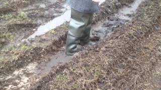 Girl walking in mud in waders