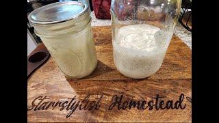 Homemade Mayonnaise & Homemade Ranch Dressing