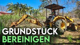 Grundstück in Costa Rica bereinigen - Bäume und Wurzeln mit dem Bagger entfernen Episode 2