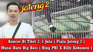 Piala Jateng 2 - Juara Dari Hasil Ternak Sendiri  Murai Batu Big Bos Buktikan Kualitas Dikelas BOB