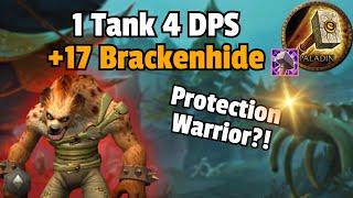 1 Tank 4 DPS vs +17 Brackenhide Hollow