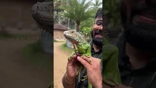 நான் ஏன் Pets Content மட்டும் Post பண்ணறேன்?