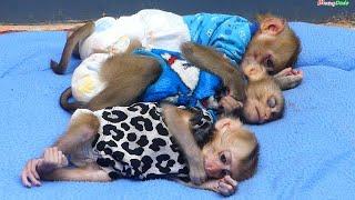 Most Adorable Three Babe Sleep Well On The Floor Mom Lead Her Three Cute Babes Sleep After Eat Full