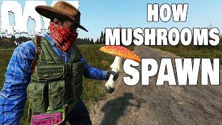 DayZ Biggest SECRETS Revealed #dayz