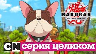 Бакуганы Нерушимый альянс  Битва за популярность серия целиком  Cartoon Network