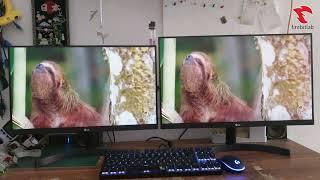 monitor 22 inch vs 24 inch 22MK600 vs 24MK600 Size Comparison