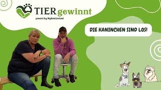 Folge 66 - Die Kaninchen sind los