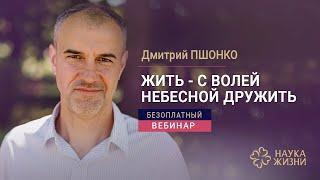 Где найти источники силы и наполнить себя энергией? I Дмитрий Пшонко