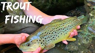 Fly Fishing the BEST TROUT STREAM In NC Insane