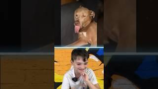  What?? How long is this dogs Tounge??… #funny #funnyanimals