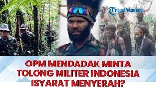  ISYARAT MENYERAH ? OPM Tiba-Tiba Minta Bantuan Militer Indonesia Gara-gara Sosok Misterius