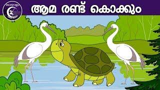 ആമ രണ്ട് കൊക്കും  Malayalam Fairy tales  malayalam moral stories for kids