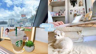 a week in my life   home vlog job hunting doggy birthday 