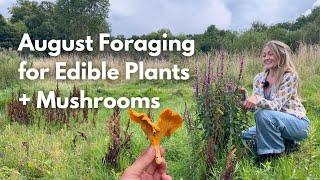 14 More Wild Plants & Edible Fungi to Forage in August  UK Foraging