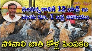 Sonali Breed Chicken Farming  సోనాలి జాతి కోళ్ల పెంపకం  Country Chicken Farming 