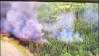 Canada’s fed gov deliberately burns forests then blames climate crisis