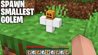 HOW to SPAWN the SMALLEST GOLEM in Minecraft ? TINY GOLEM 