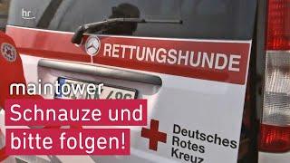 Unterwegs mit der Rettungshundestaffel - POV bei der Hundeprüfung  maintower