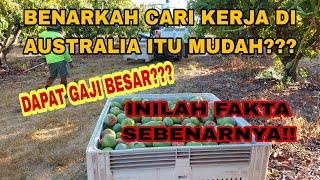 YAKIN MAU KERJA DI AUSTRALIA???