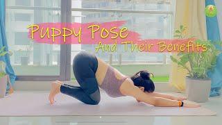 #puppy pose And Their #Benefits  Uttana Shishosana  #Yoga With Komal  Om Yoga Health Clinic 