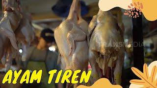 Praktik Nakal Ayam Tiren Bikin Otan Merinding  SI OTAN 280322