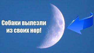 Полицейские следили как я снимал Луну Очень странное явление