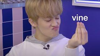 nct as vines