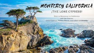 Monterey California USA Visit to the Lone Cypress