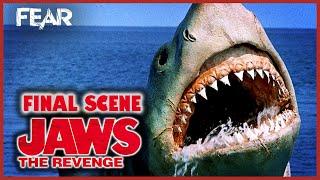The Shark Roars Jaws 4 Final Scene  Jaws The Revenge  Fear
