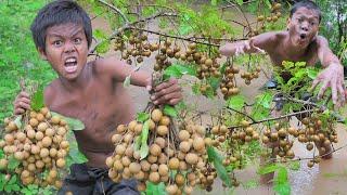 Rich Figs Fruits in jungle