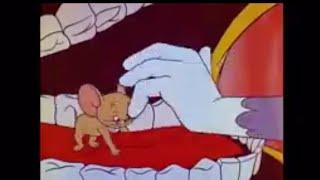 Tom And Jerry English Episodes - Much Ado About Mousing - Cartoons For Kids