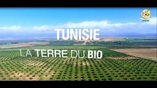 Tunisie La Terre du Bio