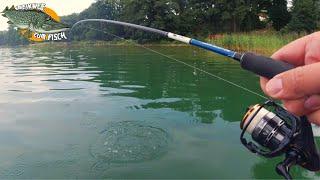 Barschangeln im See - so finden wir die Barsche im See